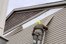 Best Vinyl Siding Installation  in Mapleton, ND